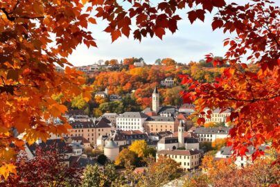 Colorful autumn foliage overlooking a European cityscape.