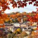 Colorful autumn foliage overlooking a European cityscape.