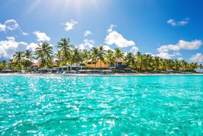 Sunny beach with clear blue water and lush green palm trees.
