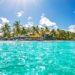 Sunny beach with clear blue water and lush green palm trees.