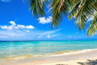 Beach with clear blue water and palm trees.