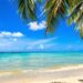Beach with clear blue water and palm trees.