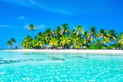 Tropical beach with clear blue water and palm trees.