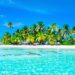 Tropical beach with clear blue water and palm trees.