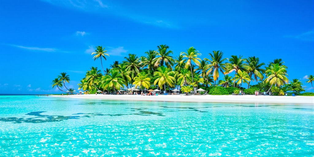 Tropical beach with clear blue water and palm trees.