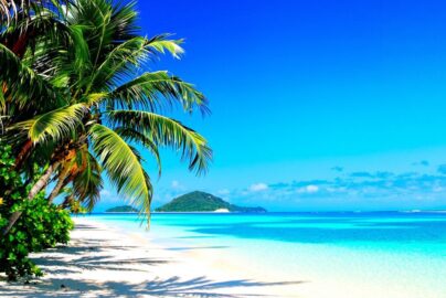 Turquoise water meets white sand on a tropical Caribbean beach.