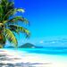 Turquoise water meets white sand on a tropical Caribbean beach.