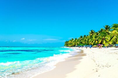Tropical beach with crystal clear water and palm trees.