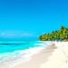 Tropical beach with crystal clear water and palm trees.