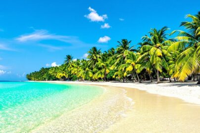 Sun-drenched beach with clear turquoise water and palm trees.