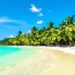 Sun-drenched beach with clear turquoise water and palm trees.