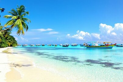 Tropical beach with palm trees and clear blue water.