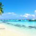 Tropical beach with palm trees and clear blue water.