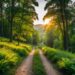 Forest Hiking: The Most Beautiful Places and Trails in Germany