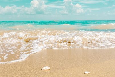 Sunny beach with palm trees and clear blue water.