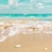 Sunny beach with palm trees and clear blue water.