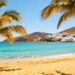 Sunny Spanish beach with palm trees and blue water.