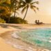 Sunny beach with palm trees and clear blue water.