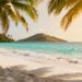 Sunny beach with palm trees and clear blue water.