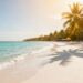 Sunny beach with palm trees and clear blue water.