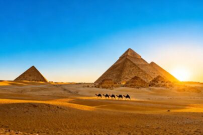 Pyramids of Giza at sunset with camels.