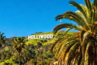 Hollywood sign with palm trees and blue sky