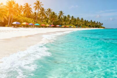 Sunny beach with palm trees and clear blue water.