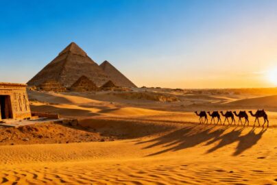 Pyramids of Giza at sunset with camels