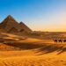 Pyramids of Giza at sunset with camels