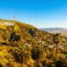 Hollywood sign overlooking Los Angeles cityscape