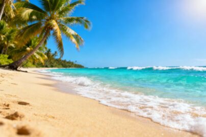 Tropical beach destination in November with palm trees and clear water.