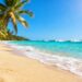Tropical beach destination in November with palm trees and clear water.