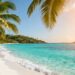 Tropical Caribbean island beach with palm trees and clear water.