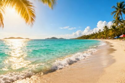 Sunny beach with palm trees and clear blue water.