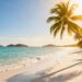 Tropical beach with palm trees and clear blue water.
