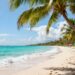Sunny beach with palm trees and clear blue water.