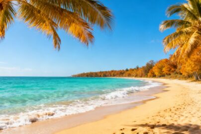 Sunny beach with palm trees and clear blue water.