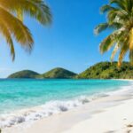 Tropical Caribbean beach with palm trees and clear blue water.