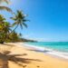 Tropical beach with palm trees and clear blue water.
