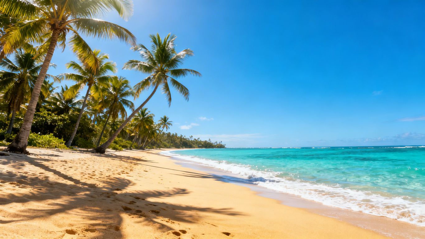 Tropical beach with palm trees and clear blue water.