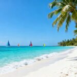 Beautiful Caribbean beach with clear water and palm trees.